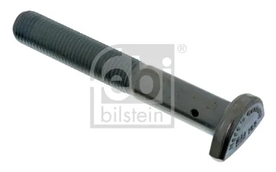 Wheel bolt