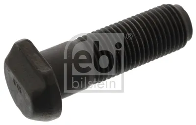 Wheel bolt