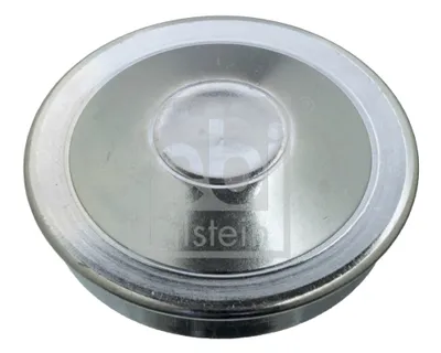 Cap, wheel bearing Renault RAPID Box Body/MPV · Renault CLIO I · Renault TWINGO I