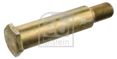 Asparagus for fastening, stabilizer