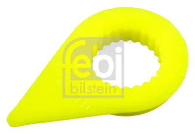 Cap, wheel nut