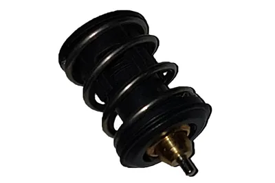 Thermostat, coolant Seat IBIZA IV · Seat IBIZA IV SC · Seat IBIZA IV ST