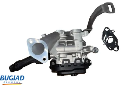 EGR BUGIAD BGR13117 valve
