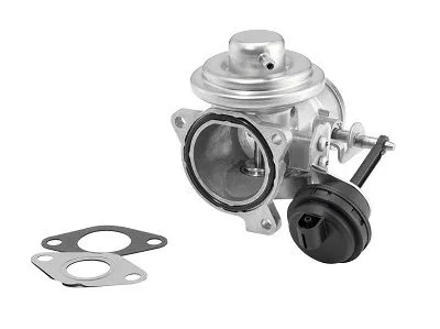 EGR Valve Seat IBIZA III · Seat CORDOBA · Skoda OCTAVIA I