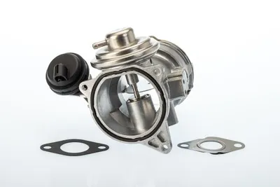 EGR Valve Vw MULTIVAN T5 · Vw TRANSPORTER T5 Platform/Chassis (7JD, 7JE, 7JL, 7JY, 7JZ, 7F · Vw TRANSPORTER T5 Van