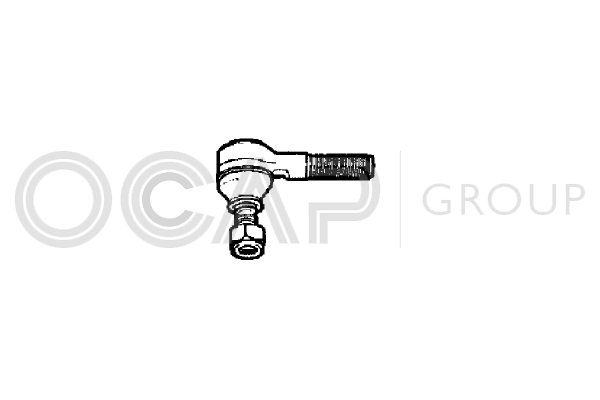 Tie Rod End Renault 20