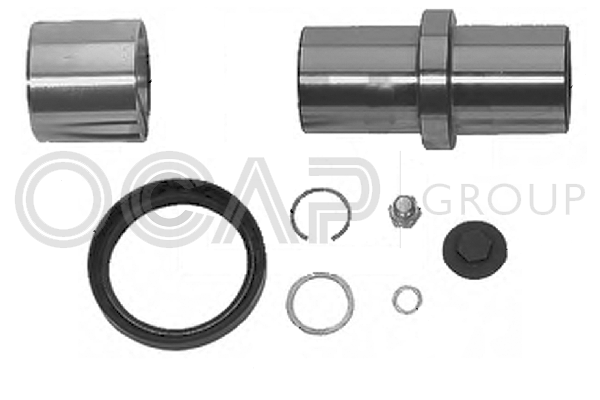 Repair set, pivot of the OCAP axis 0927410