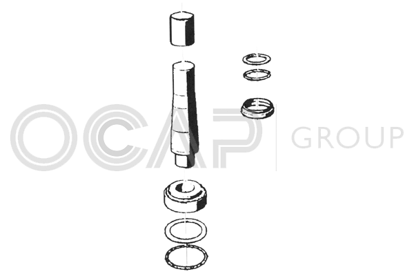 Repair set, pivot of the OCAP axis 0927454