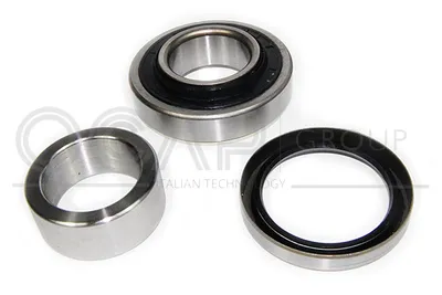 OCAP wheel bearing set 6120434