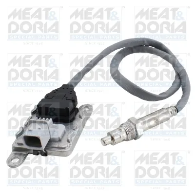 NOx sensor, NOx MEAT & DORIA 57170 catalyst