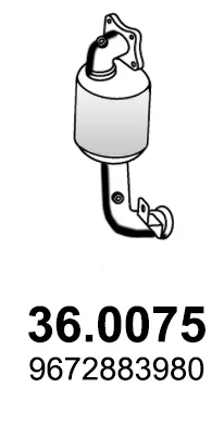 Catalytic Converter Citroën C4 Coupe · Citroën C3 II · Citroën DS3