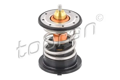 Gasket, oil filter housing Audi A4 B5 · Audi A6 C4 · Audi A6 C4 Avant