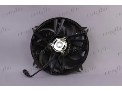 Fan, engine cooling Peugeot 406 · Citroën BERLINGO / BERLINGO FIRST Box Body/MPV · Citroën BERLINGO / BERLINGO FIRST MPV