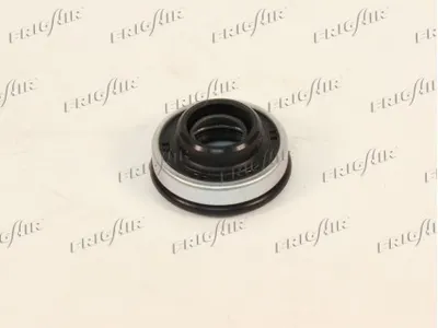 Shaft Seal, compressor shaft