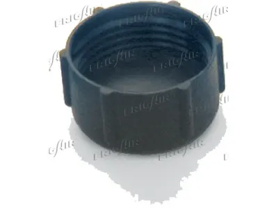 Sealing Plug, coolant flange