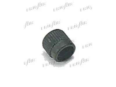 Screw Plug