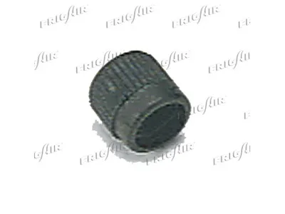 Screw Plug
