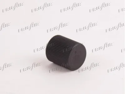 Screw Plug