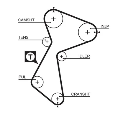 Timing Belt