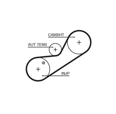 Timing Belt