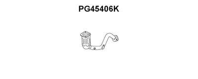 Catalyst VENEPORTE PG45406K