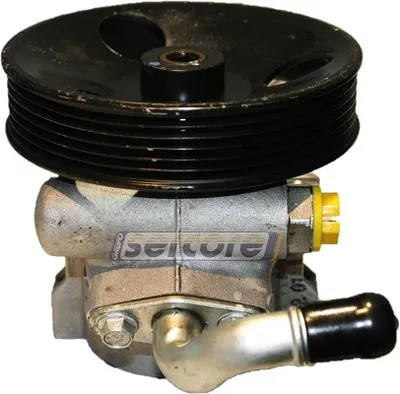 Hydraulic Pump, steering Opel ANTARA A · Chevrolet CAPTIVA