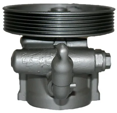 Hydraulic Pump, steering Citroën BERLINGO / BERLINGO FIRST Box Body/MPV · Citroën BERLINGO / BERLINGO FIRST MPV · Citroën XSARA PICASSO