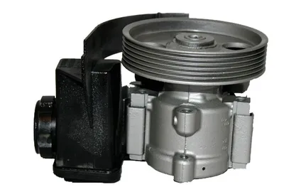 Hydraulic Pump, steering Peugeot 206 Hatchback · Peugeot 206 CC · Peugeot 206 SW