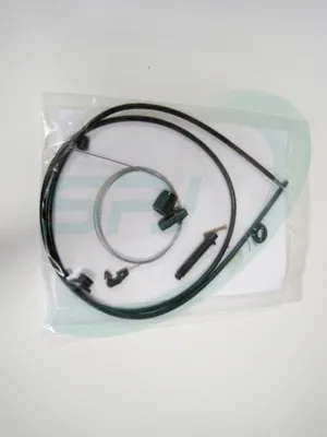 Accelerator Cable Renault RAPID Box Body/MPV · Renault LAGUNA I · Renault LAGUNA I Grandtour