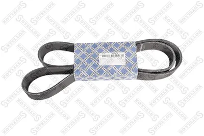 Traspecial strap poly V STELLOX 01-01485-SX
