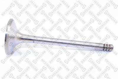 Exhaust Valve Bmw Z1 Roadster · Bmw 3 · Bmw 3 Touring