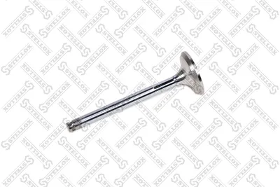 Exhaust Valve Fiat REGATA · Fiat CROMA · Fiat TEMPRA