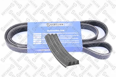V-Ribbed Belt Fiat PUNTO · Fiat PALIO Weekend · Fiat PUNTO Van