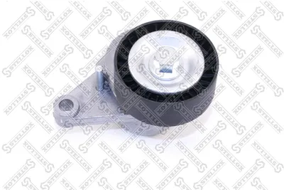 Tensioner Pulley, V-ribbed belt Citroën C3 I · Citroën C3 Pluriel · Citroën C2