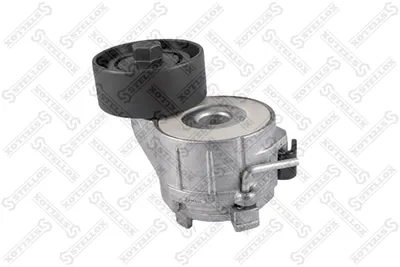 Tensioner Pulley, V-ribbed belt Citroën BERLINGO / BERLINGO FIRST Box Body/MPV · Citroën BERLINGO / BERLINGO FIRST MPV · Citroën XSARA PICASSO