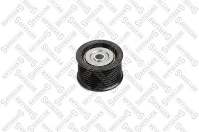 Tensioner Pulley, V-ribbed belt Toyota LAND CRUISER 200 · Toyota SEQUOIA · Toyota TUNDRA Pickup