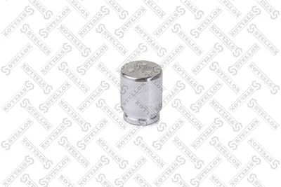 Piston, brake caliper Bmw 5 · Chrysler SEBRING Coupe · Citroën C-CROSSER