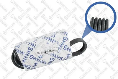 V-Ribbed Belt Ford MONDEO I · Ford MONDEO I Turnier · Ford MONDEO II