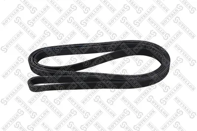 V-Ribbed Belt Audi A8 D2 · Ford TRANSIT Bus · Ford TRANSIT Van