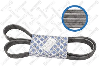 Traspecial strap poly V STELLOX 08-01580-SX