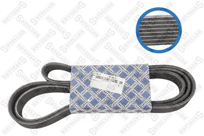 Traspecial strap poly V STELLOX 08-01988-SX