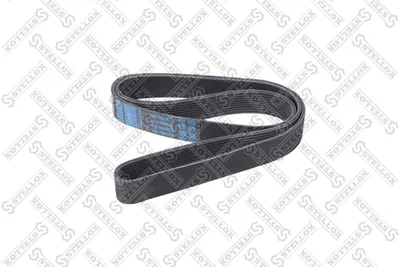 Traspecial strap poly V STELLOX 10-11545-SX