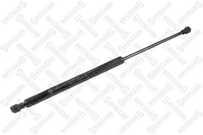 Gas Spring, bonnet Lexus IS II