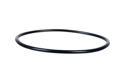 Gasket, EGR valve Daewoo LEGANZA
