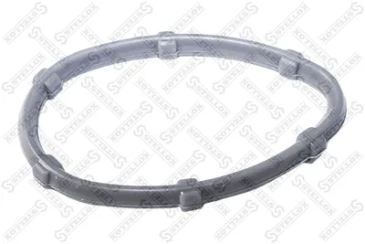 Gasket, intake manifold Lada LARGUS Estate Van · Lada LARGUS · Nissan PRIMASTAR Bus