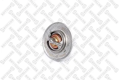 Thermostat, coolant Audi A6 C6 · Audi A6 C6 Avant · Audi A4 B8