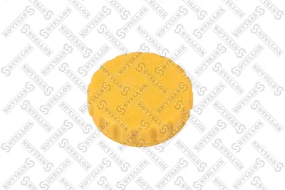 Cap, coolant tank Ford SCORPIO I · Ford SCORPIO I Saloon · Ford SIERRA II Hatchback