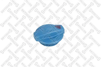 Cap, coolant tank Audi A4 B5 · Audi A6 C5 · Audi A6 C5 Avant