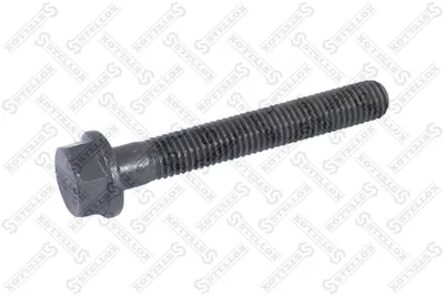 Screw, intake collector STELLOX 81-08507-SX