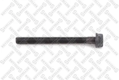 Screw, intake collector STELLOX 81-08508-SX